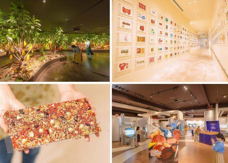 (圖片來源:Royce' via PR Times)