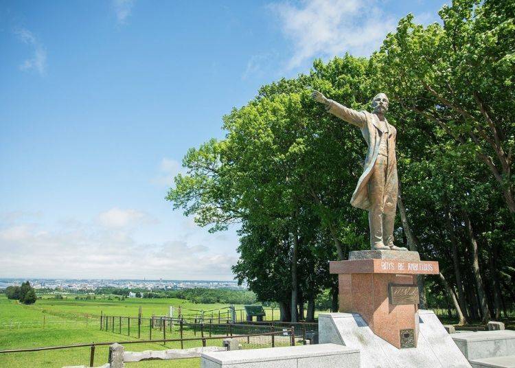 (圖片來源:Hitsujigaoka Observation Hill via PR Times)