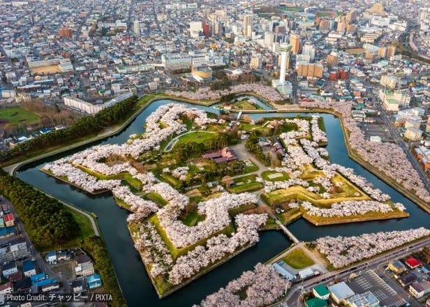 Fun Things to Do in Hakodate in Spring (March/April/May): Events, Festivals & More