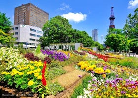 Fun Things to Do in Sapporo in Summer (June/July/August) - Events, Festivals & More!