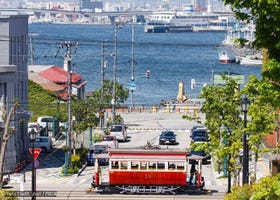 Fun Things to Do in Hakodate in Summer (June/July/August): Events, Festivals & More
