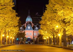 Fun Things to Do in Sapporo in Fall (September/October/November): Events, Festivals & More!