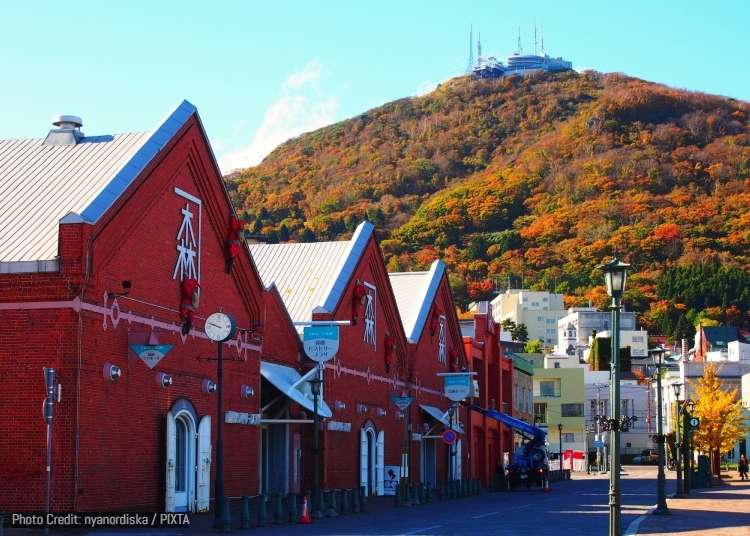 Fun Things to Do in Hakodate in Fall (September/October/November): Events, Festivals & More!