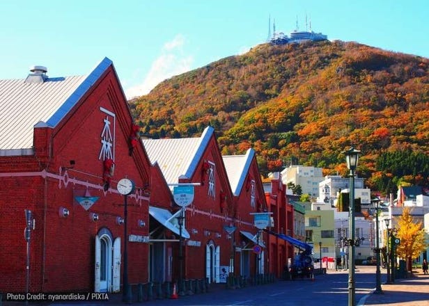 Fun Things to Do in Hakodate in Fall (September/October/November): Events, Festivals & More!