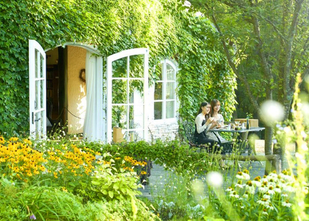 Enjoy A Private Morning Like a Movie: Exclusive Sunrise Experience at Furano's Garden of Wind