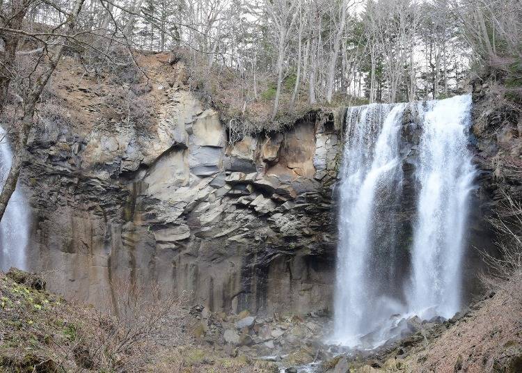 (Photo Takino Suzuran Hillside Park via PR Times)