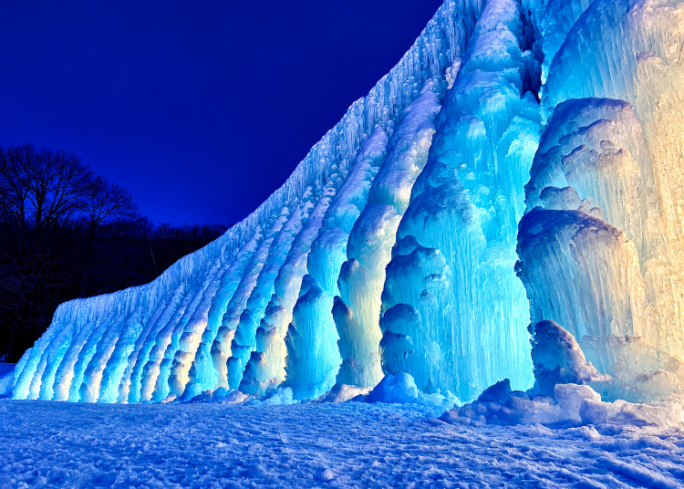 (Image credit: National Park Lake Shikotsu Management Council)