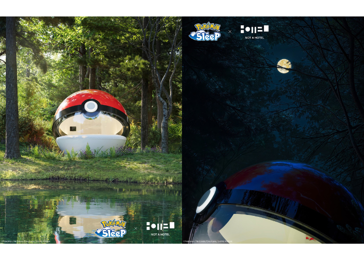 图片来源：株式会社ポケモン/&copy;Pok&eacute;mon/Nintendo/Creatures/GAME