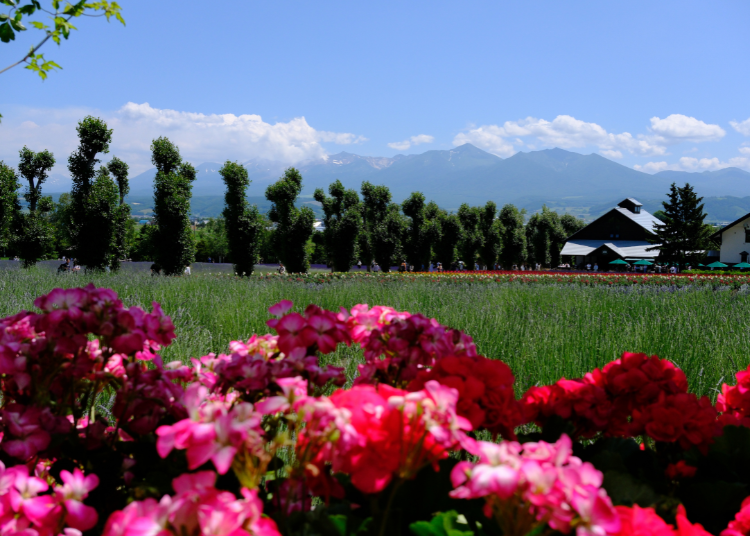 (Image credit: LIVE JAPAN editor)
