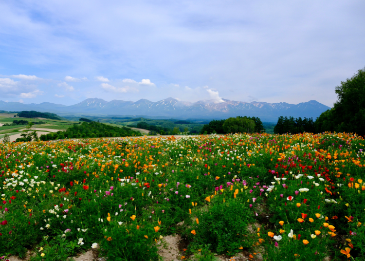 (Image credit: LIVE JAPAN editor)