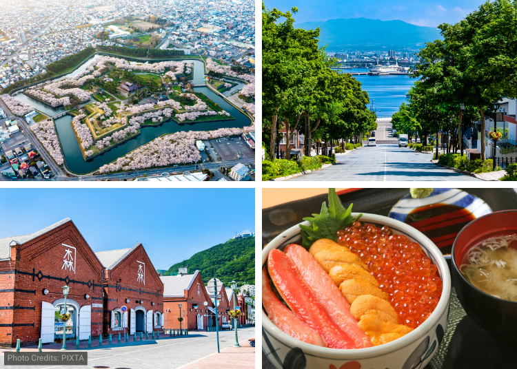 Explore Hakodate's Port-City Scenery and Morning Market Food
