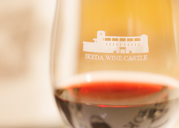 【Eastern Hokkaido Gastronomy Tour】 Enjoy a Taste of Tokachi: Explore Wine Castle, the Birthplace of Hokkaido Wine, and Delectable Ikeda Beef