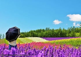 Hokkaido for Travelers from India: A Complete First-Trip Guide