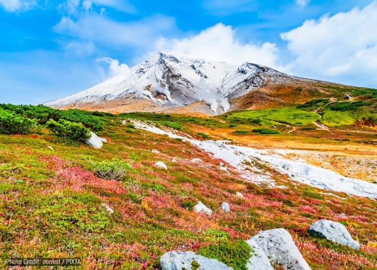 Autumn (September&ndash;October): Blazing Hues
