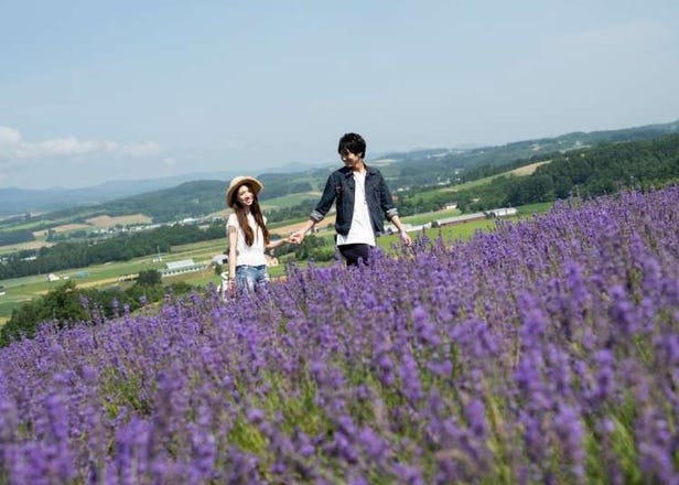 Romantic Places in Hokkaido: Where to Honeymoon Across the Seasons