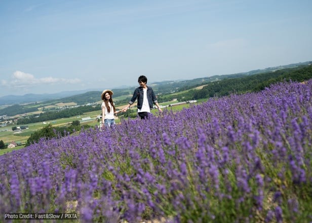 Romantic Places in Hokkaido: Where to Honeymoon Across the Seasons