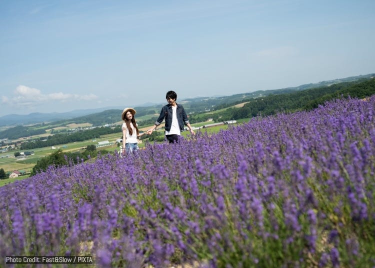 Romantic Places in Hokkaido: Where to Honeymoon Across the Seasons