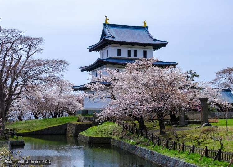 Sakura Love (April–May)