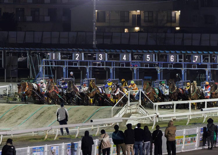 ▲The track is divided into separate 1.8-meter-wide lanes to prevent the horses from colliding