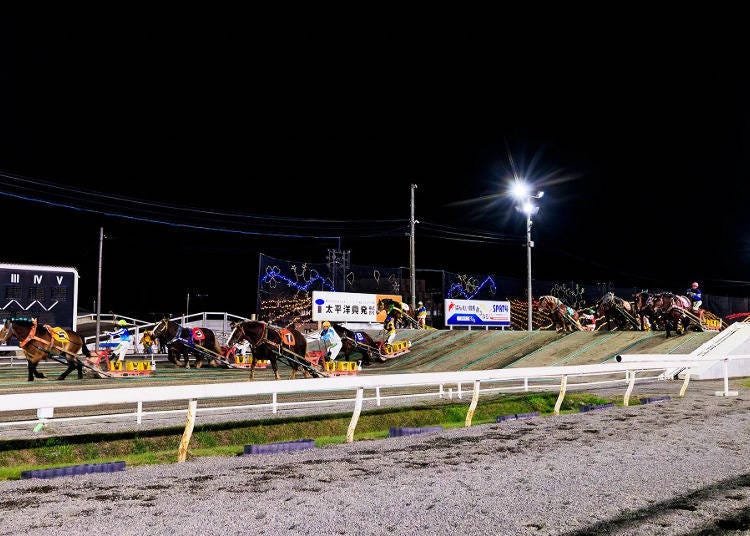 ▲Just a little more to the finish line! By this point, I was cheering for all the draft horses.