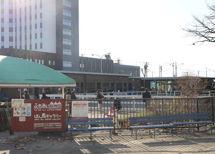 ▲親近動物園