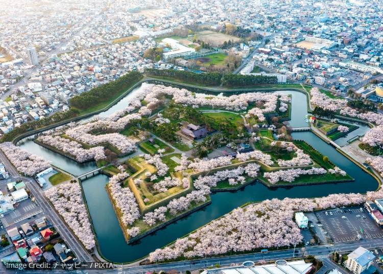 Hakodate: Seafood, history, and one of Japan&rsquo;s great night views (2026 attractiveness ranking: #2)