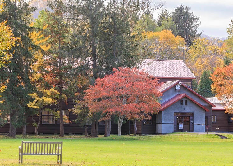▲在成為美術館之前，這裡曾被用作「美唄市立榮幼稚園」