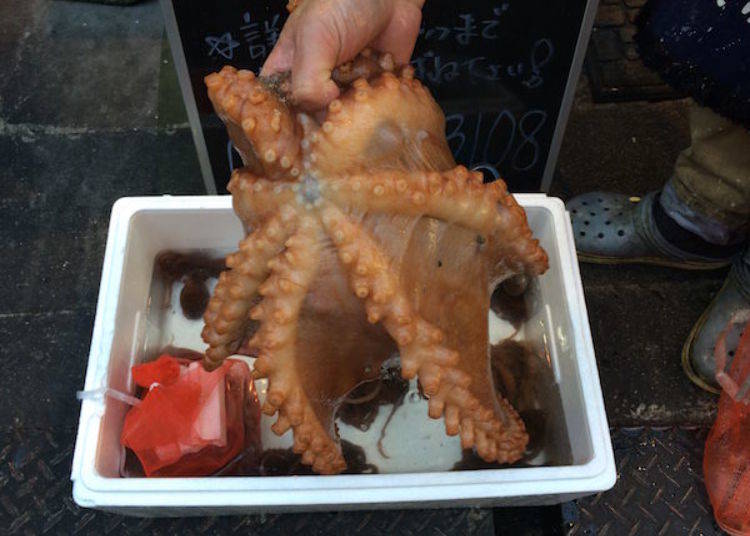 ▲In addition to the Akashidako octopus in the photo, today there were other menu items such as tenagadako (long-arm octopus). It seems that you can even enjoy odorigui (live octopus) here for ¥980 per serving.