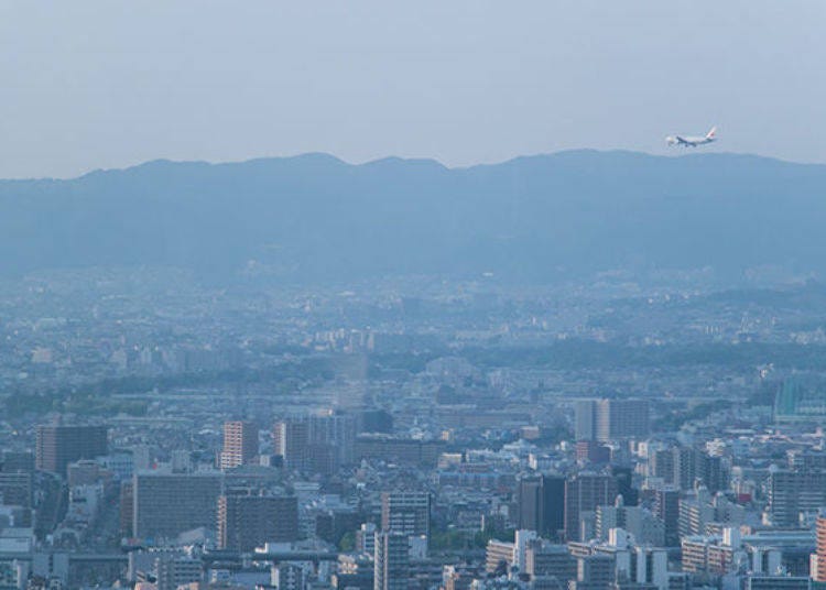 ▲有時候還可以看到正要降落大阪國際機場（伊丹機場）的飛機從眼前飛過