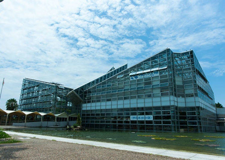 ▲The Sakuya Konohana Pavilion is a 2-story greenhouse. The building seems to have been designed in the image of a water lily.