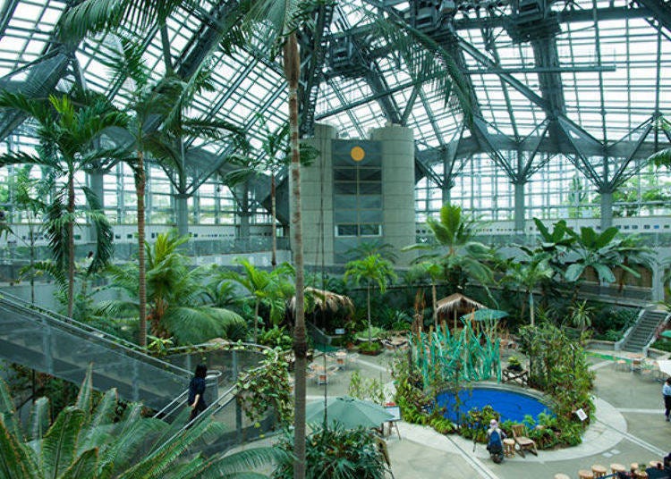 ▲At the center of the building is the Flower Hall in the atrium. There are various exhibitions and events held here throughout the year.