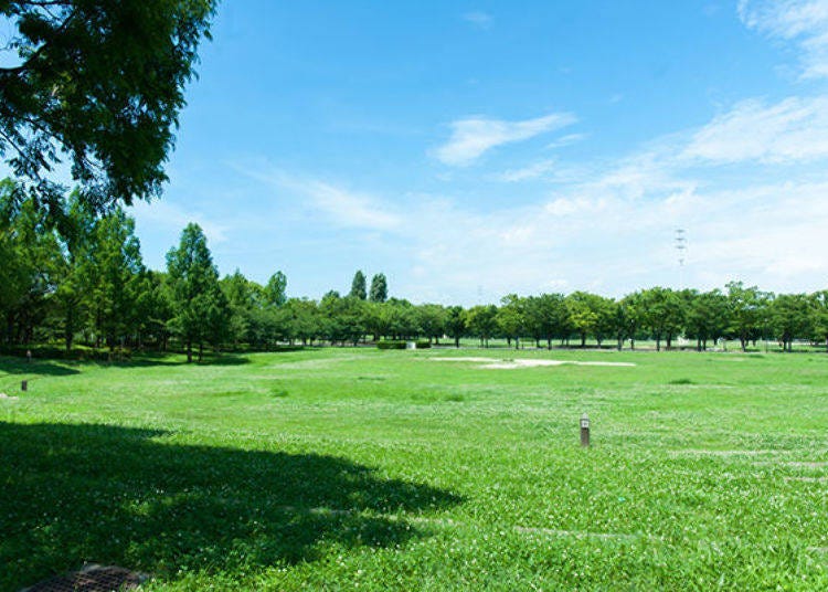 ▲The spacious grassy area next to the barbecue area is also nice.