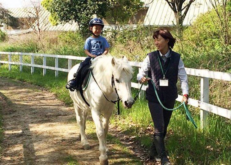 ▲The small pony rides are very popular with children (available from 4 years to adults; reservation not required). (Business hours: 9:00AM~7:00PM, Closed Tuesdays; ¥700, tax included; Phone: 06-6915-0034)