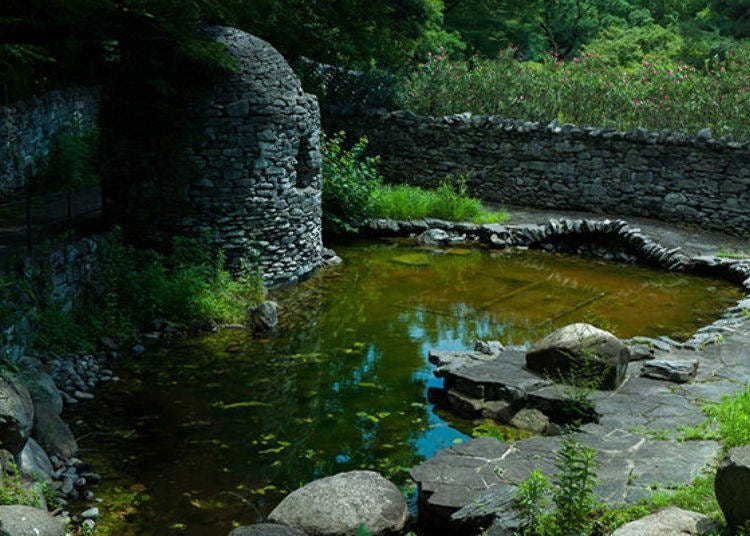 ▲An Irish garden. The contrast between the bright lights and shadows are superb.