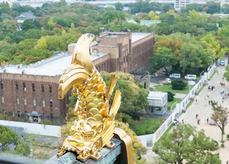 ▲일본에서 처음으로 천수각 지붕에 금 범고래를 설치한 것은 노부나가의 아즈치성, 히데요시의 오사카성이었다고 알려져 있다