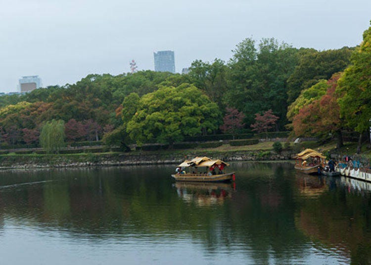 ▲从极乐桥可以看到周游内护城河的「大阪城御座船」的景色。 3～11月每天会行驶（12～2月停止运行）。大人只要1500日元（含税价格）就可乘船周游，可以电话预约。