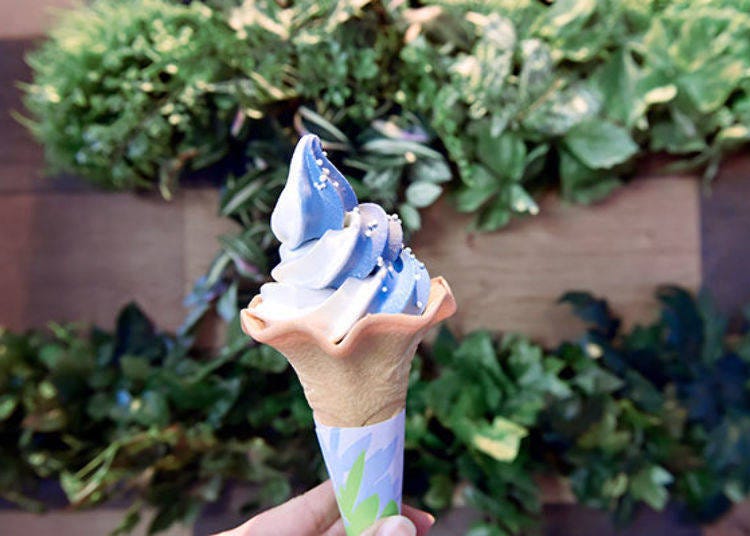 ▲Ramune and vanilla flavored whale shark soft-served ice cream (400 yen tax included). The blue and white color matches the color of whale sharks (photo provided by Kaiyukan)