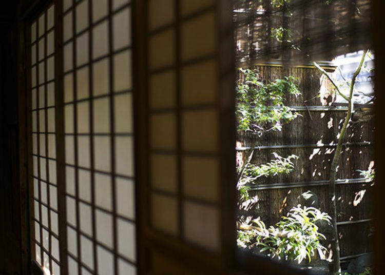 ▲View of the inner garden from the tea room. Light plays on the green leaves creating a peaceful ambience
