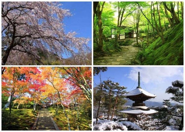 Jojakko-ji Temple: Experiencing Sensational Kyoto Fall Foliage at a Magical Garden