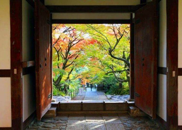 ▲A very picturesque view looking back towards the main gate