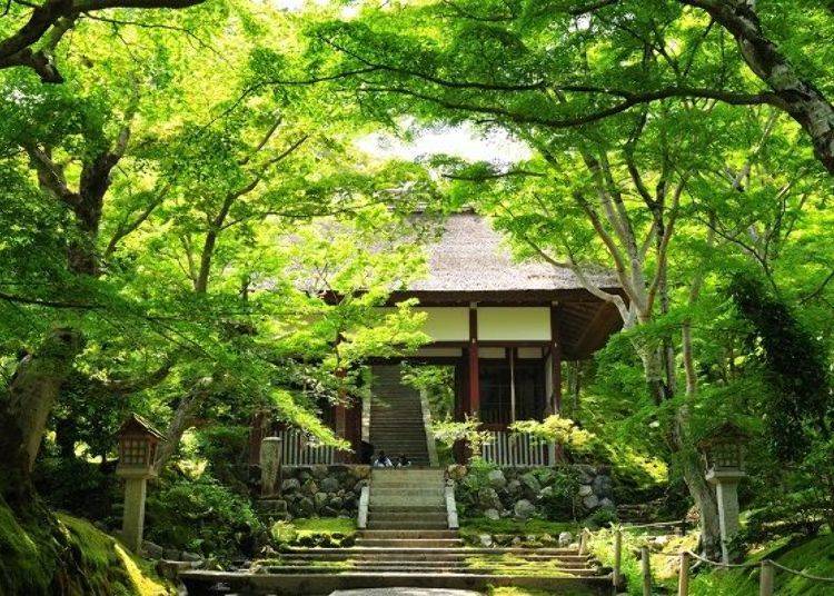 ▲The path from the main gate to Niomon Gate is surrounded by greenery