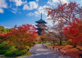京都东寺赏枫必去！五重塔、金堂及美丽红叶