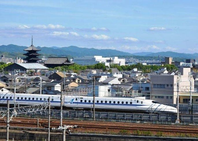 京都东寺赏枫必去 五重塔 金堂及美丽红叶 Live Japan 日本的旅行 旅游 体验向导