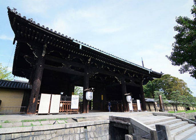 京都東寺賞楓必去 五重塔 金堂及美麗紅葉 Live Japan 日本旅遊 文化體驗導覽