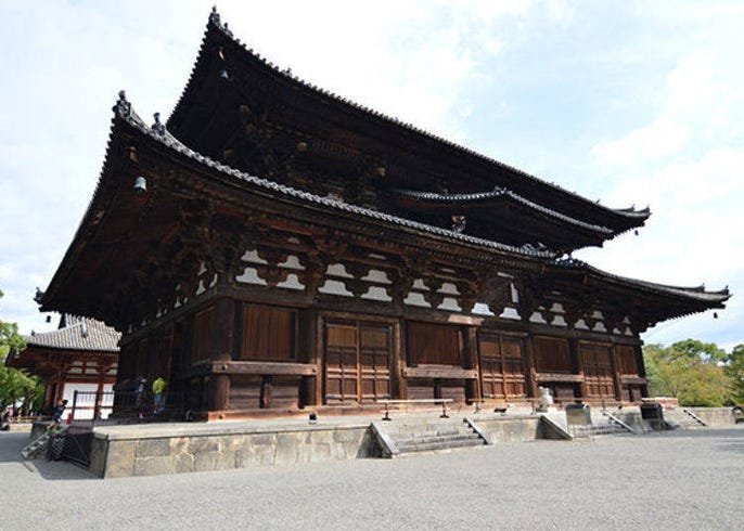 京都東寺賞楓必去 五重塔 金堂及美麗紅葉 Live Japan 日本旅遊 文化體驗導覽