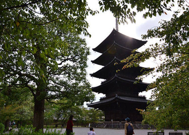 高度約55公尺！日本國內最高木造之塔－東寺的五重塔