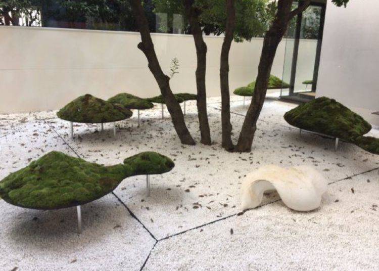 ▲ In the courtyard by Hotel Anteroom Kyoto's lounge are works by Shun Kawakami (founder of artless, Inc.), Kazuki Kaneko, Takayuki Tanaka (co-founder of United Flowers), "A Bird's Eye View of a Rock Garden in Kyoto" by the garden designer Yutaka Ono, and the white object at the lower right is by Kento Nito.