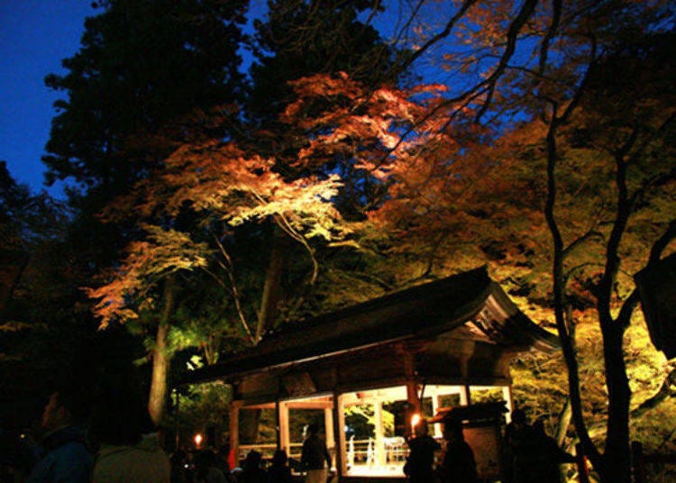 ▲ The beauty of the illumination of the autumn colors along the path leading to the rear shrine as well as each of the shrines is timeless and unforgettable.