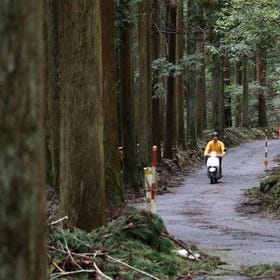 (Recommended) Kyoto countryside scooter tour
Details & Bookings ▶
(Image: Viator)