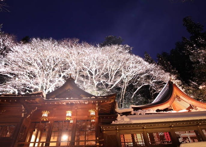 기후네 신사, 물의 신이 깃든 아름다운 신사는 '인연'을 맺어주는 성지 - Live Japan ( 일본여행·추천명소·지역정보 )